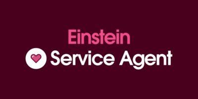 Einstein Service Agent